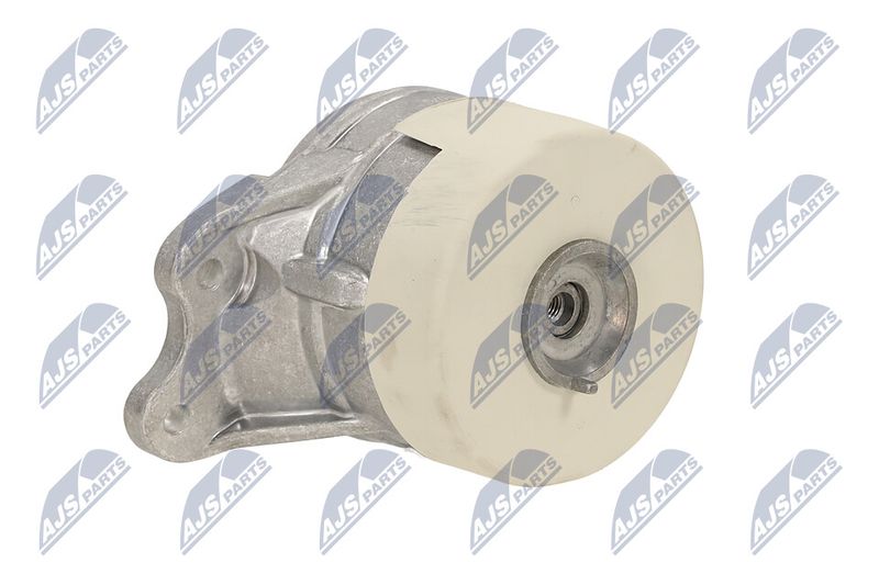 Paigutus, Mootor, NTY ZPS-ME-079