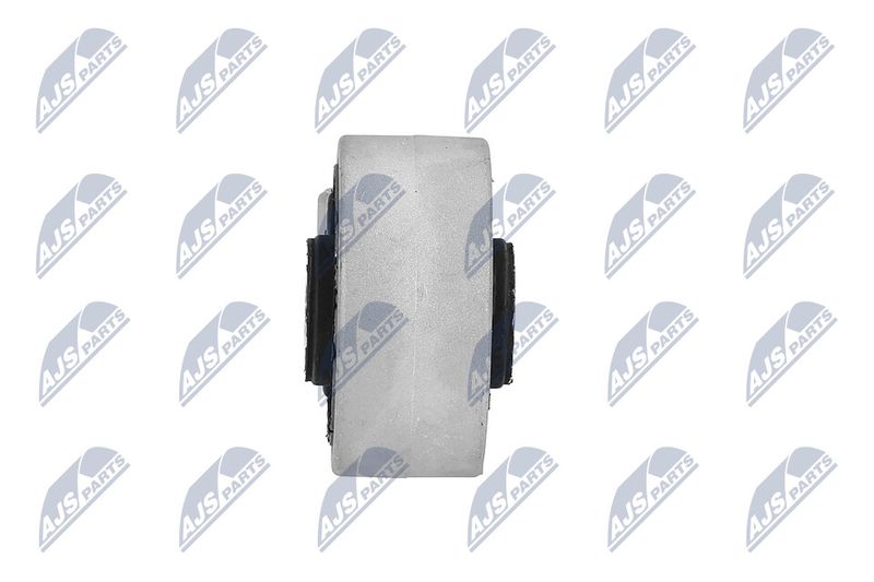 Paigutus, Mootor, NTY ZPS-NS-155