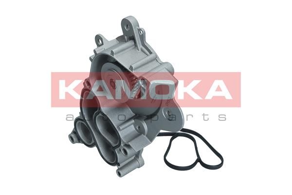 KAMOKA T0286 Water Pump, engine cooling