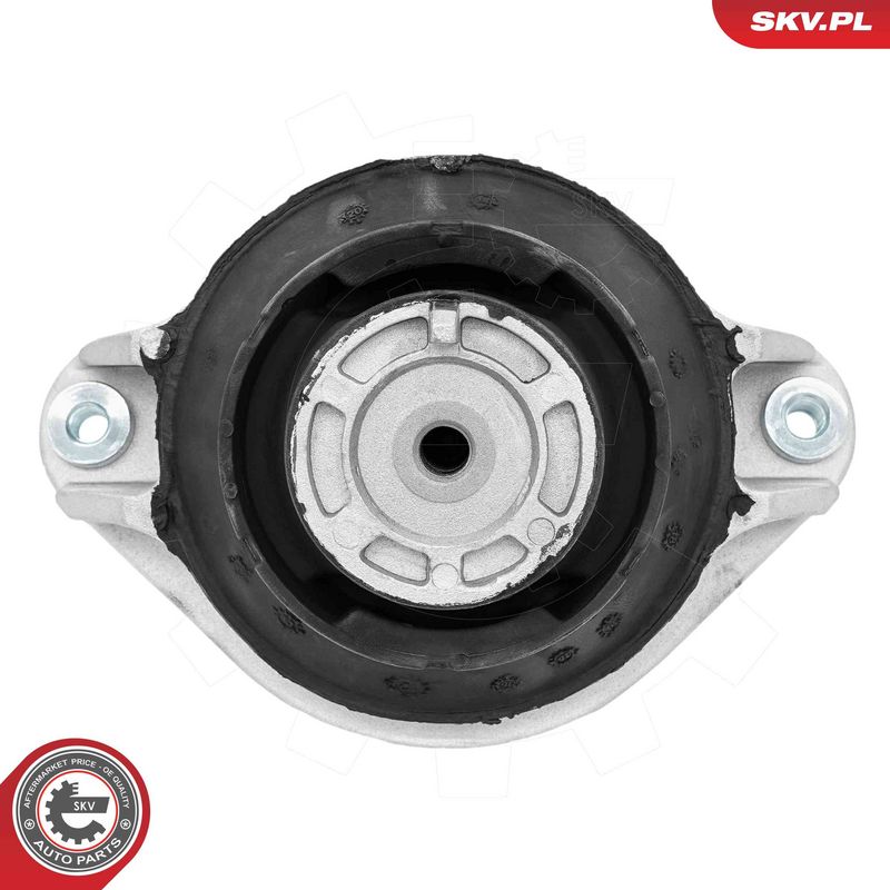 Paigutus, Mootor, ESEN SKV 75SKV203