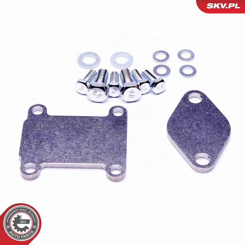 ESEN SKV 14SKV502 - Repair Set, EGR valve