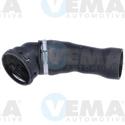 VE55824.JPG