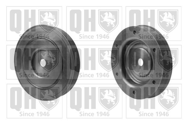 QH_QCD14_GRUPPE.JPG