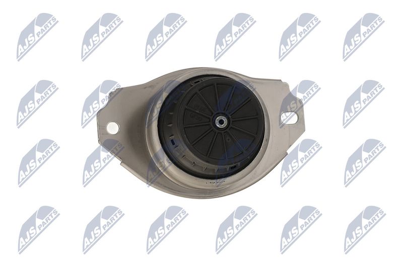 Paigutus, Mootor, NTY ZPS-LR-017