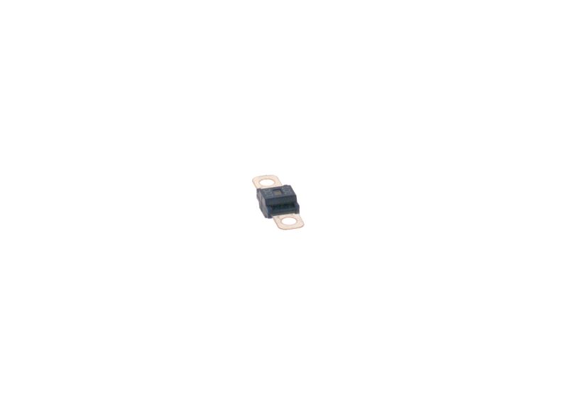 BOSCH 1987531011 Fuse