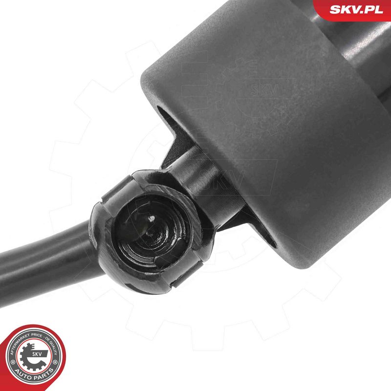ESEN SKV 52SKV273 Electric Motor, tailgate