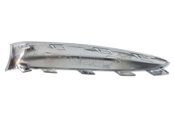 BLIC 5703-05-2013928P Trim/Protection Strip, bumper