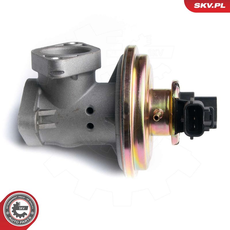 EGR-klapp, ESEN SKV 14SKV097