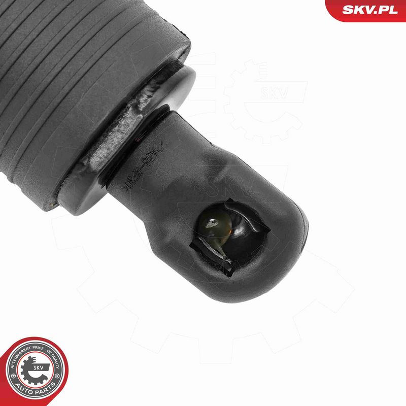 ESEN SKV 52SKV994 Electric Motor, tailgate