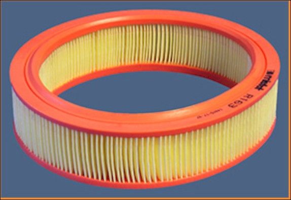Filtre+à+air MISFAT R163