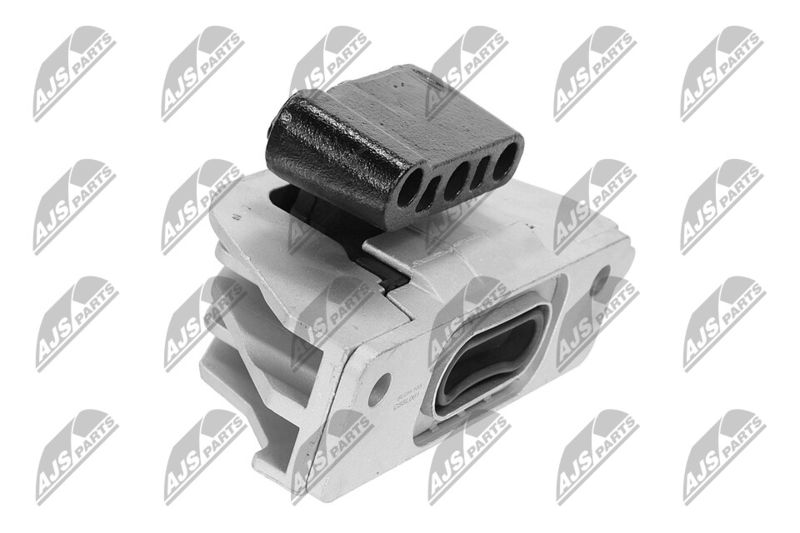 Paigutus, Mootor, NTY ZPS-CH-103