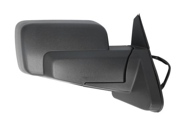 BLIC 5402-55-0615315P Exterior Mirror