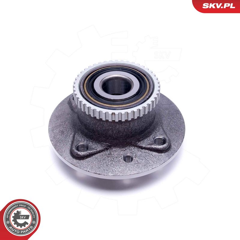 Rattalaagrikomplekt, ESEN SKV 29SKV224