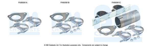 BM CATALYSTS szerelőkészlet, katalizátor FK80081