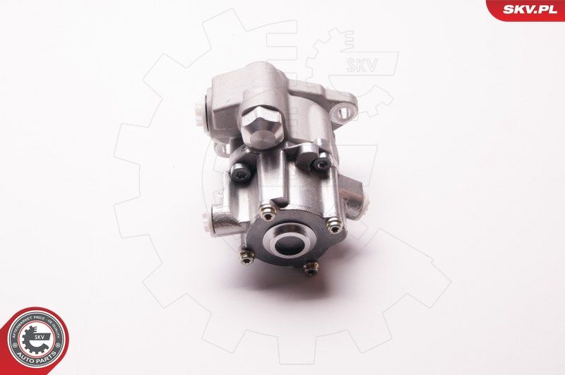 ESEN SKV 1SKV0004 Hydraulic Pump, steering