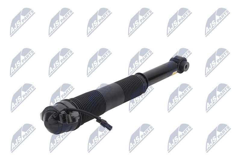 Amort, NTY A-LR-022