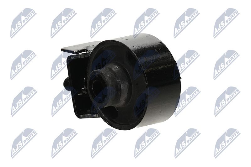Paigutus, Mootor, NTY ZPS-MS-072