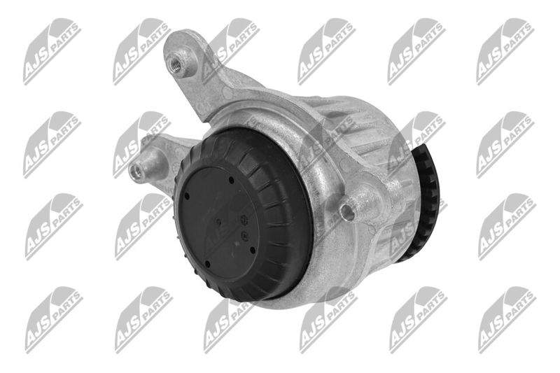 Paigutus, Mootor, NTY ZPS-ME-018