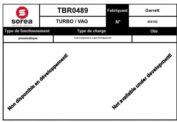 Compresor,sistem de supraalimentare TBR0488 EAI