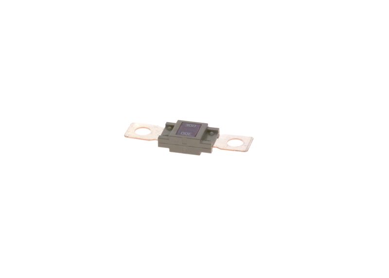 BOSCH 1987531007 Fuse