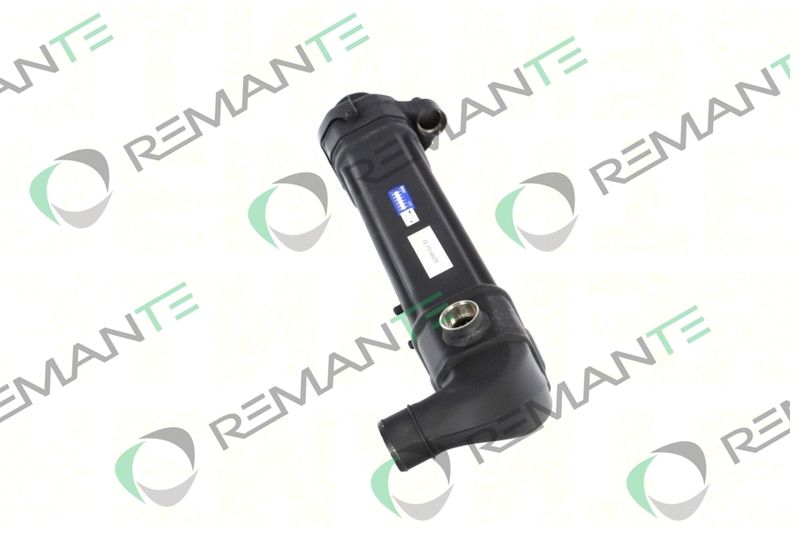 REMANTE 010-001-000025R EGR Module