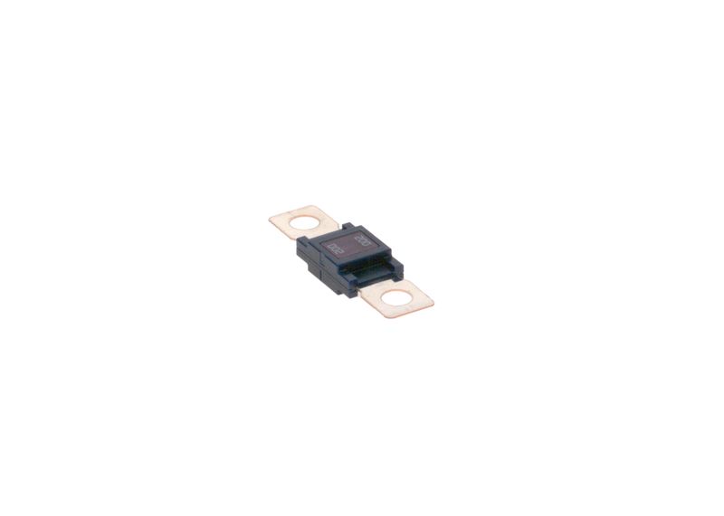 BOSCH 1987531004 Fuse