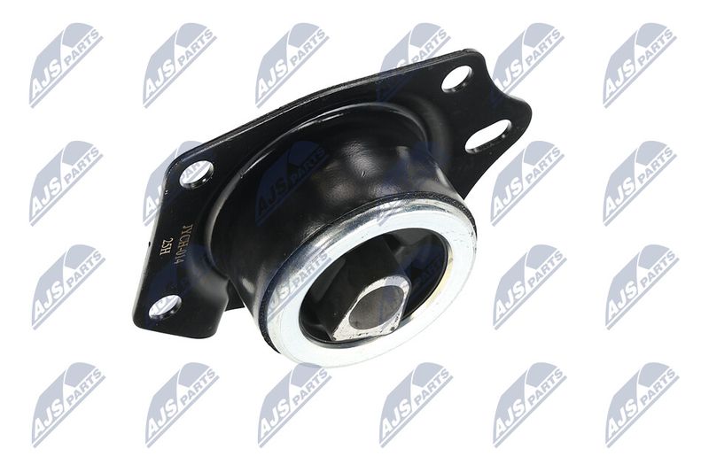 Paigutus, Mootor, NTY ZPS-CH-014