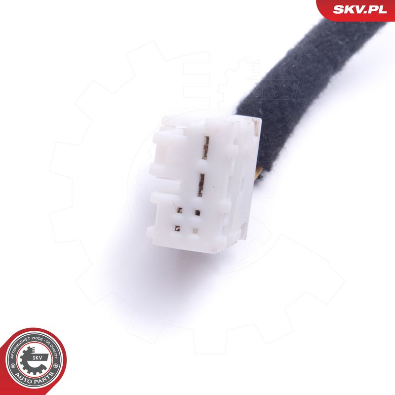 Tagaluugi sulgur, ESEN SKV...