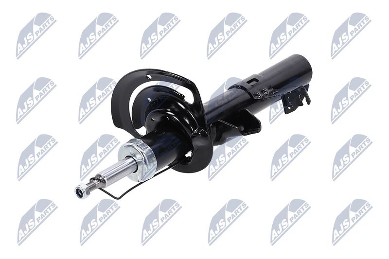 Amort, NTY A-CH-083