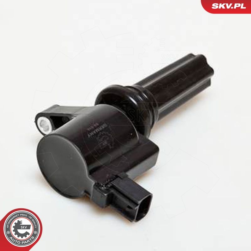 Süütepool, ESEN SKV 03SKV181