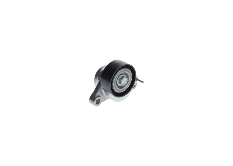 1987600316 BOSCH Tendicinghia, Cinghia Poly-V 