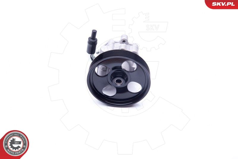 ESEN SKV 10SKV254 Hydraulic Pump, steering
