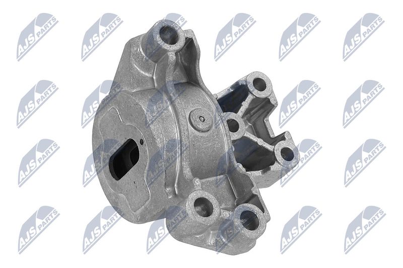 Paigutus, Mootor, NTY ZPS-PE-031