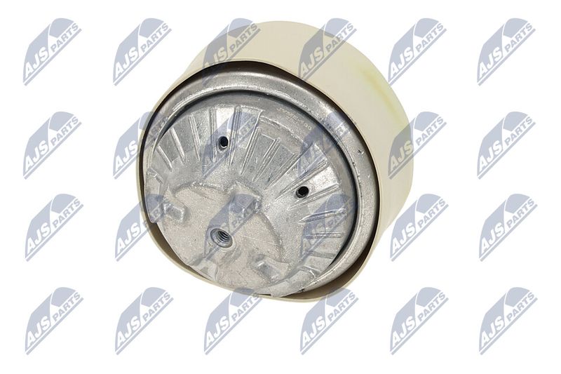 Paigutus, Mootor, NTY ZPS-ME-100