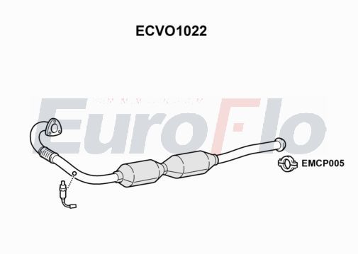 ecvo1022.JPG