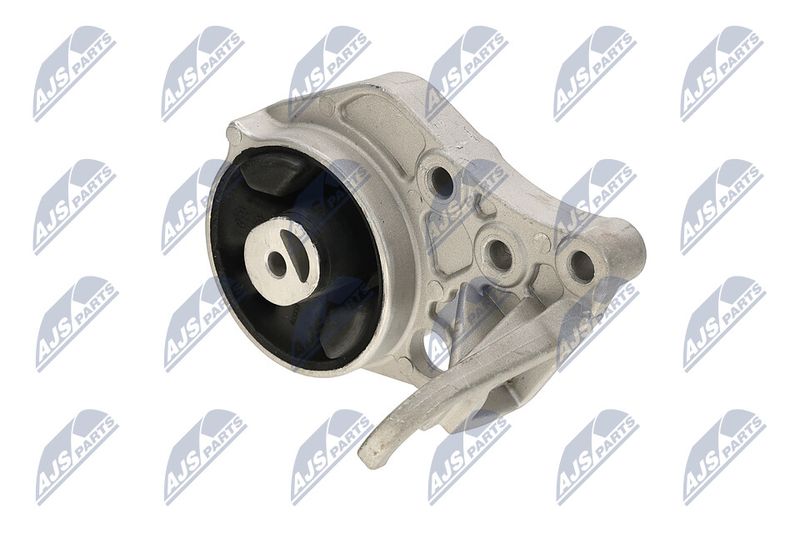 Paigutus, Mootor, NTY ZPS-CH-113