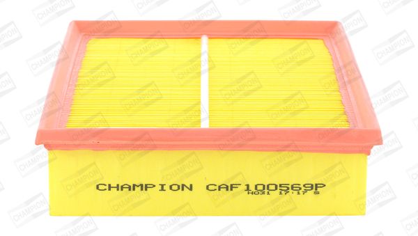 CAF100569P_1070710.JPG
