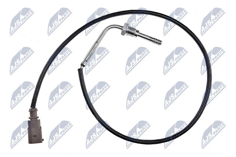 egt-vw-006_1-wm.JPG