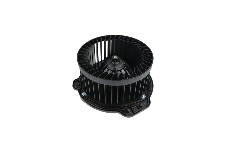 Salongipuhur, NRF 34136