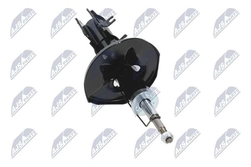 Amort, NTY A-CH-052