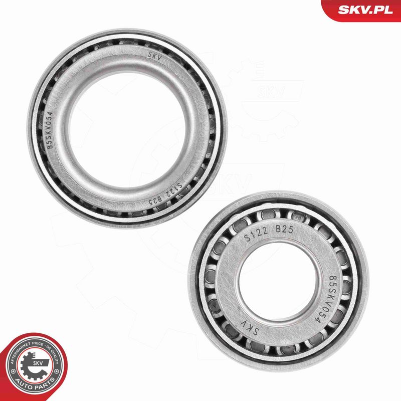 ESEN SKV 85SKV054 Wheel Bearing Kit