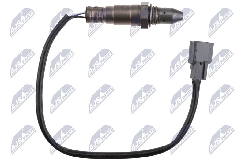 ESL-NS-002_1-WM.JPG