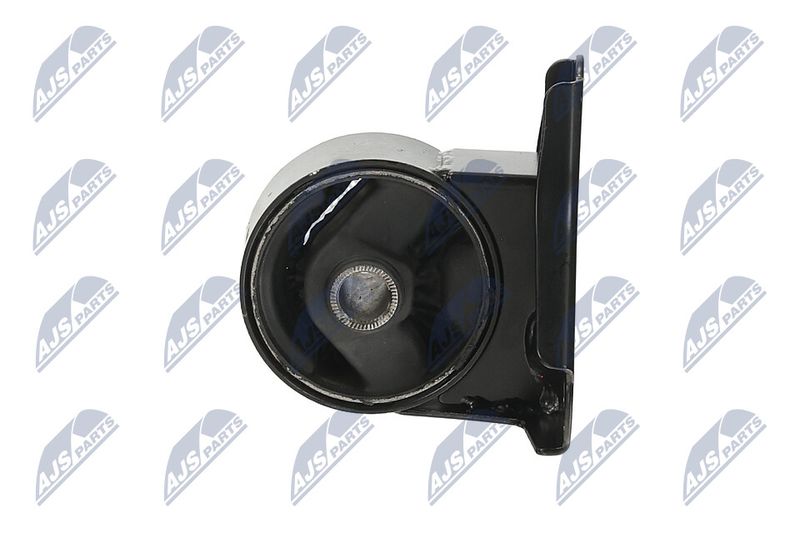 Paigutus, Mootor, NTY ZPS-KA-300