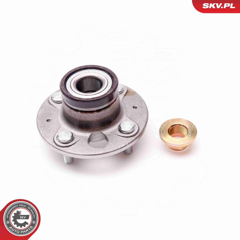 ESEN SKV 29SKV030 Wheel Bearing Kit