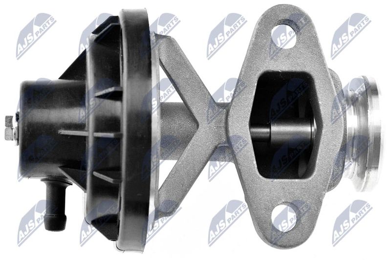 EGR-VW-015_3-WM.JPG
