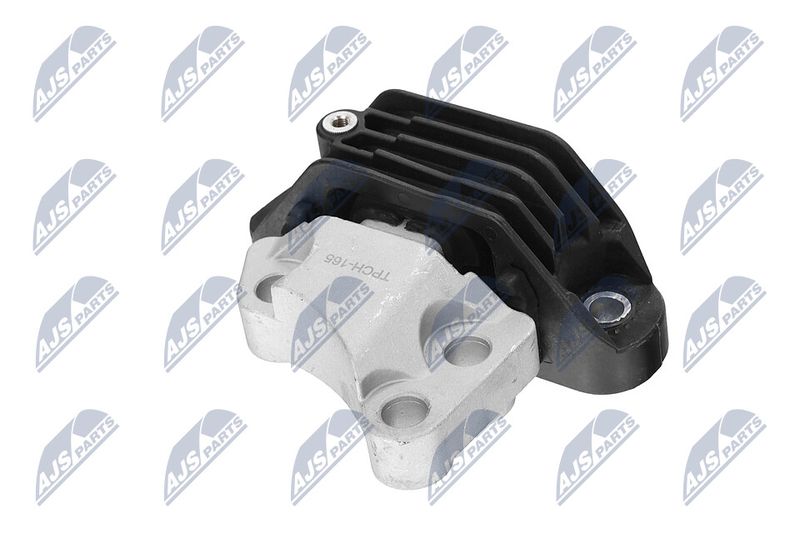 Paigutus, Mootor, NTY ZPS-CH-165