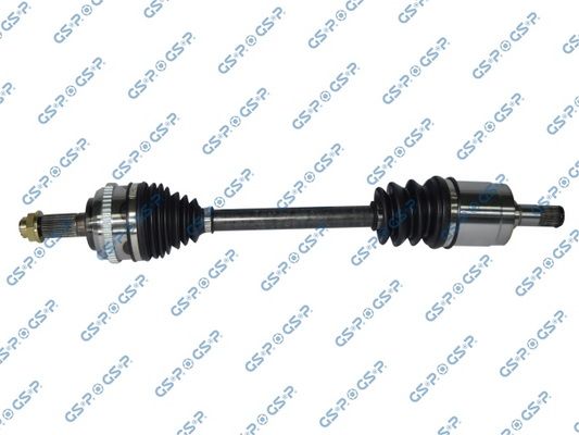 223097.JPG