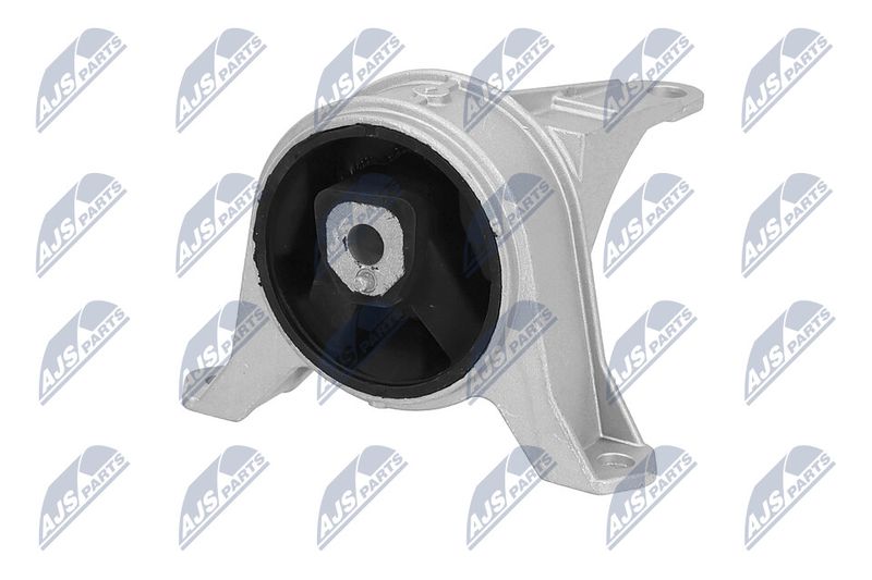 Paigutus, Mootor, NTY ZPS-PL-001