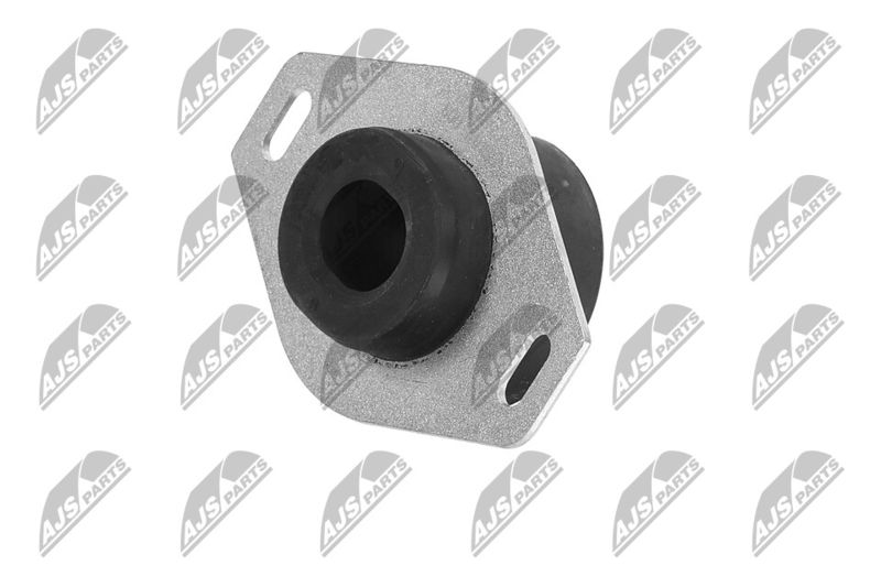 Paigutus, Mootor, NTY ZPS-PE-009