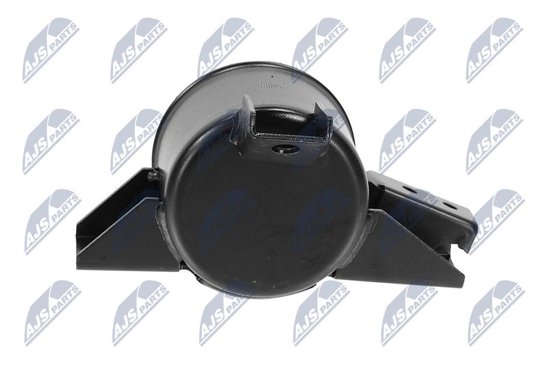 Paigutus, Mootor, NTY ZPS-HY-547